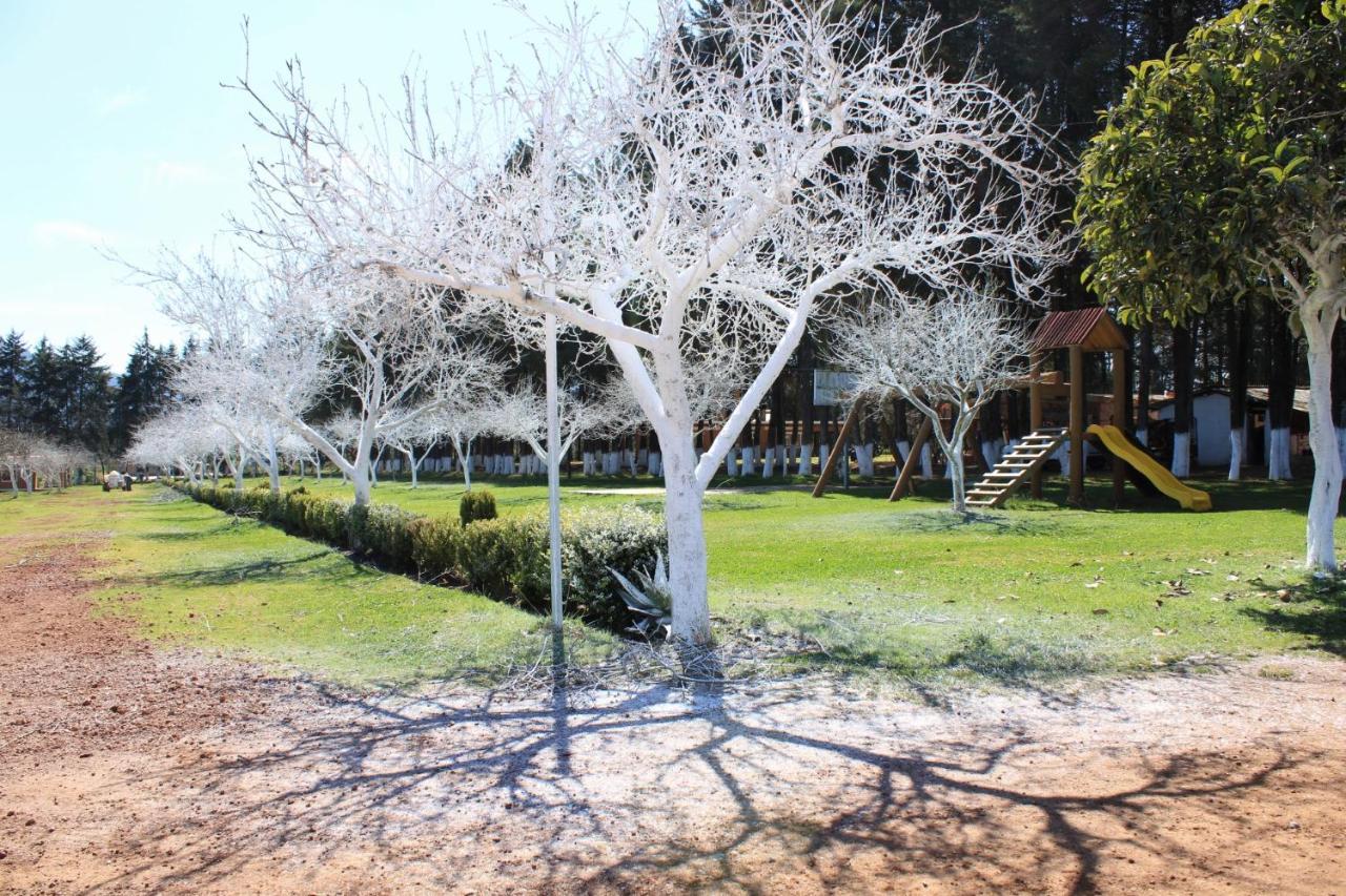 Cabanas Rancho El Mayab Zacatlán Екстериор снимка