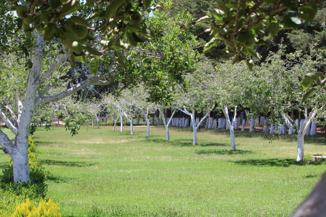Cabanas Rancho El Mayab Zacatlán Екстериор снимка
