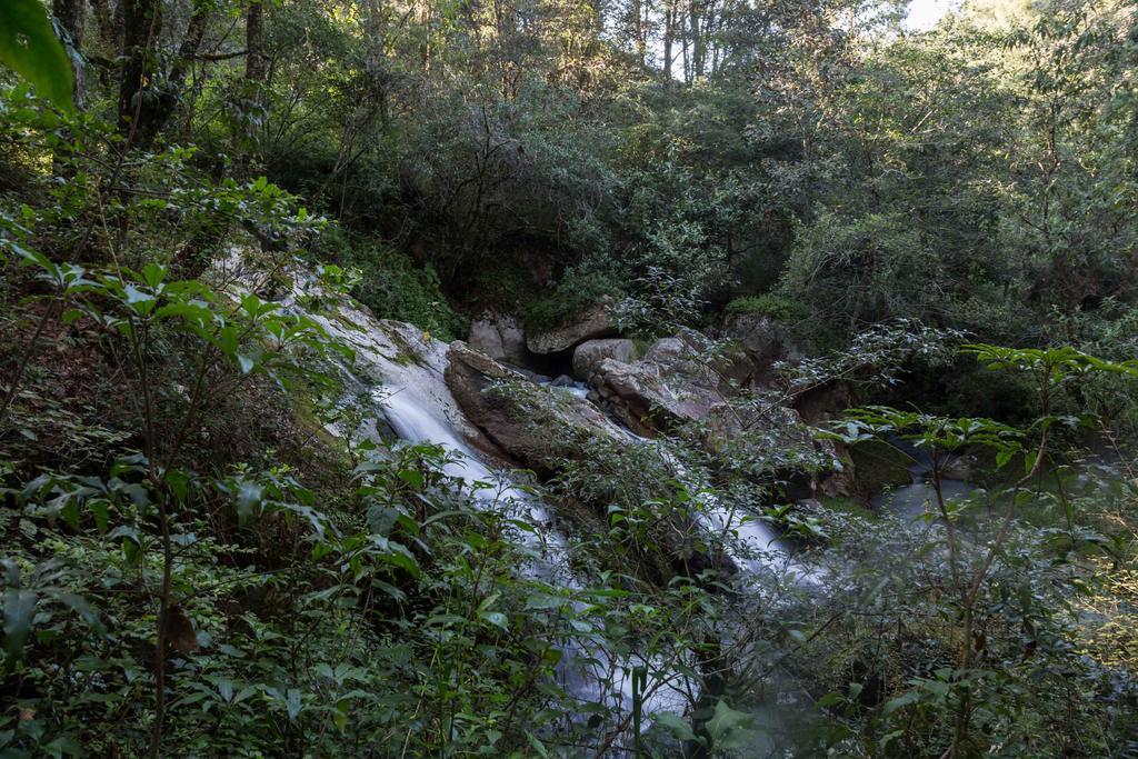 Cabanas Rancho El Mayab Zacatlán Екстериор снимка